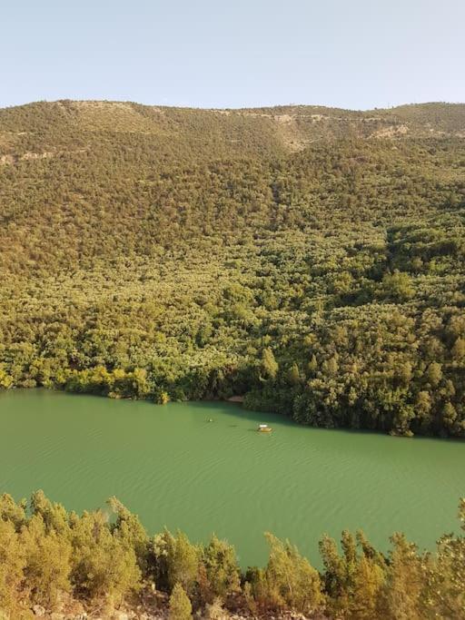 Le Figuier Du Lac Bin Elouidane Bagian luar foto